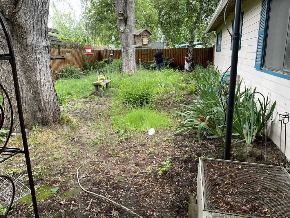 Reliable lawn care service for beautiful yards across Salem, OR - Paradise Lawn Care