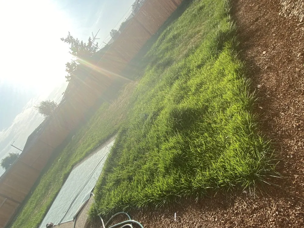 Top-rated lawn care service in Salem, OR - Paradise Lawn Care