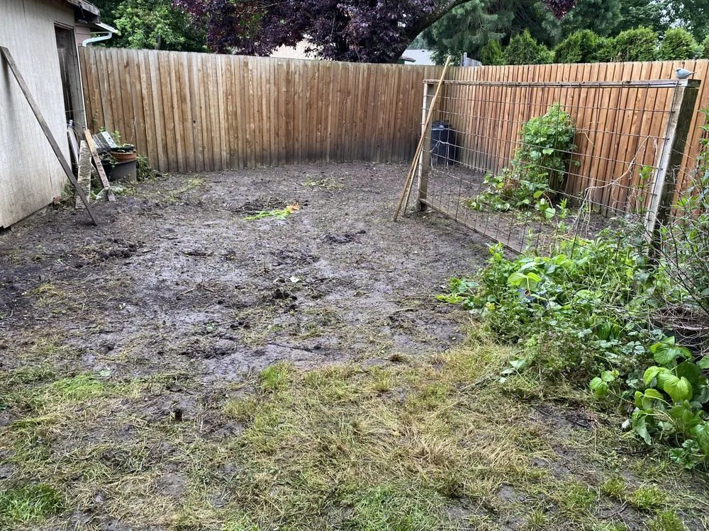 Professional yard cleanup service in Salem, OR by Paradise Lawn Care