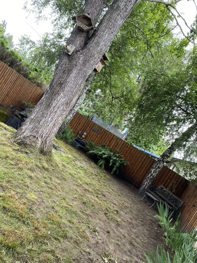 Affordable landscape design experts serving Salem, OR - Paradise Lawn Care