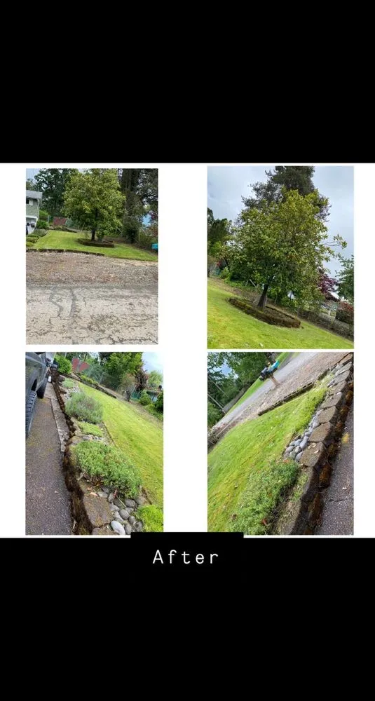 Local yard cleanup service in Salem, OR by Paradise Lawn Care