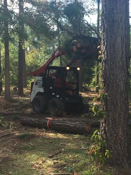 Affordable residential landscaping near you in Bonaire, GA by Paradise Lawn Care Services