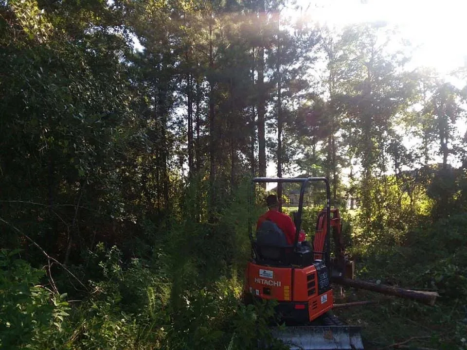 Professional residential landscaping near you in Bonaire, GA by Paradise Lawn Care Services