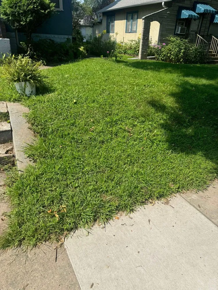 Expert residential landscaping for outdoor upgrades in New Brighton, MN by Paradise Lawn Care Services