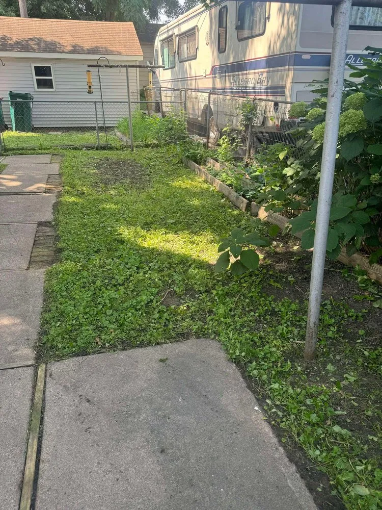 Trusted yard cleanup service experts serving New Brighton, MN - Paradise Lawn Care Services