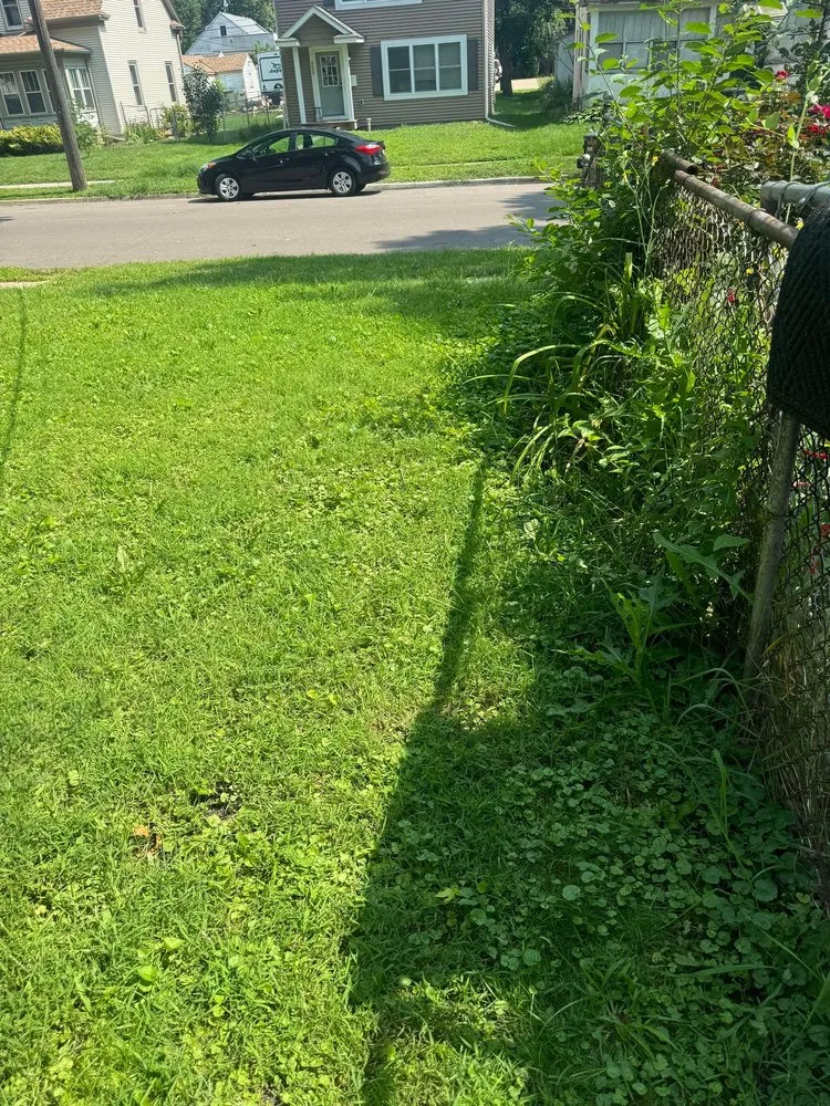 Trusted landscaping services in New Brighton, MN - Paradise Lawn Care Services