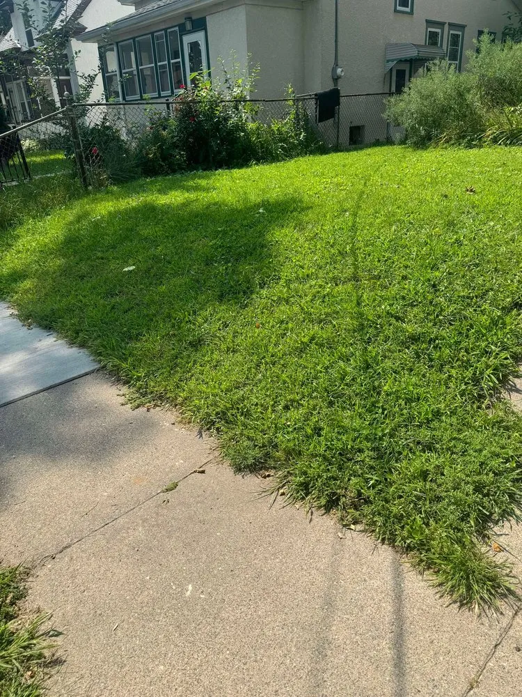 Trusted yard maintenance in New Brighton, MN - Paradise Lawn Care Services