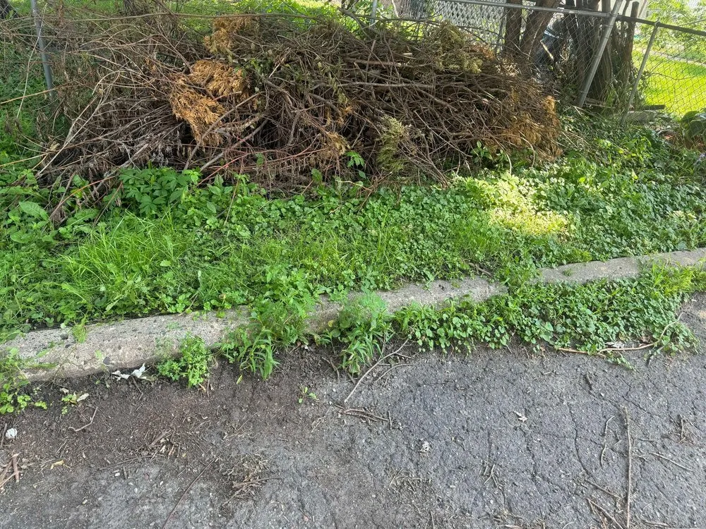 Local residential landscaping in New Brighton, MN - Paradise Lawn Care Services