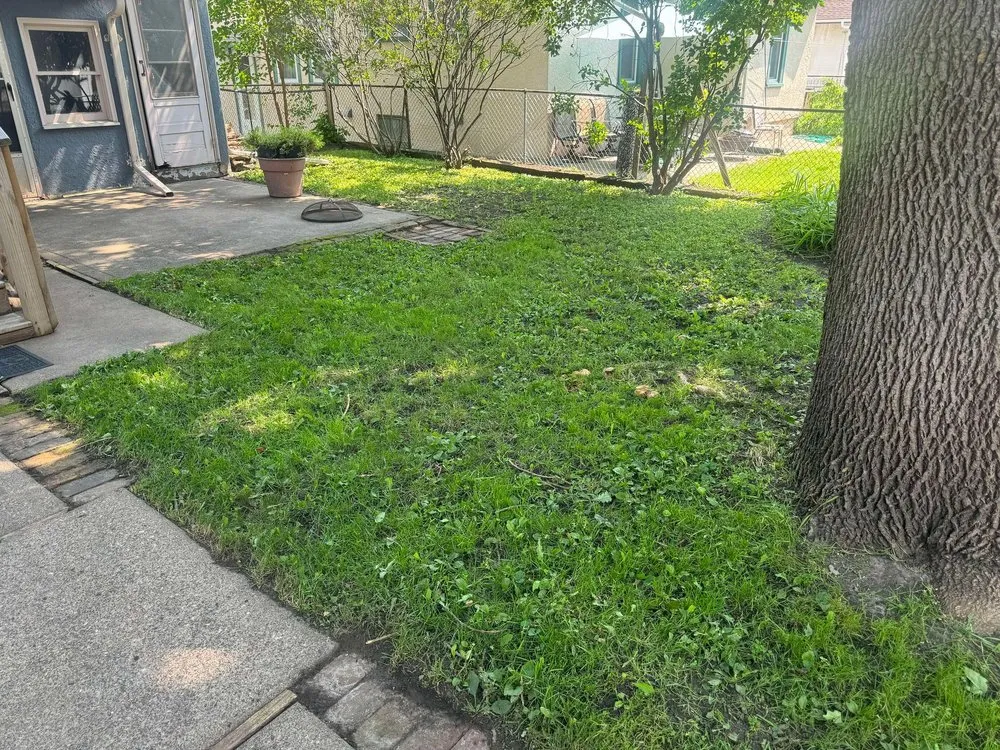 Affordable outdoor landscaping with custom design across New Brighton, MN - Paradise Lawn Care Services