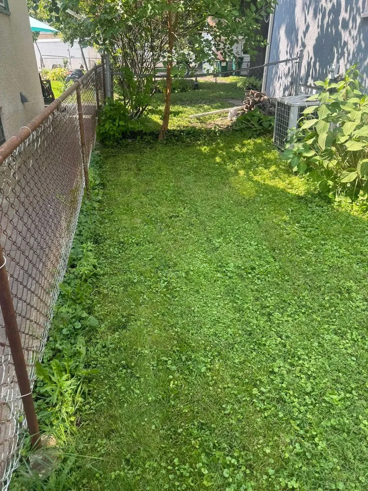 Trusted landscape installation in New Brighton, MN - Paradise Lawn Care Services