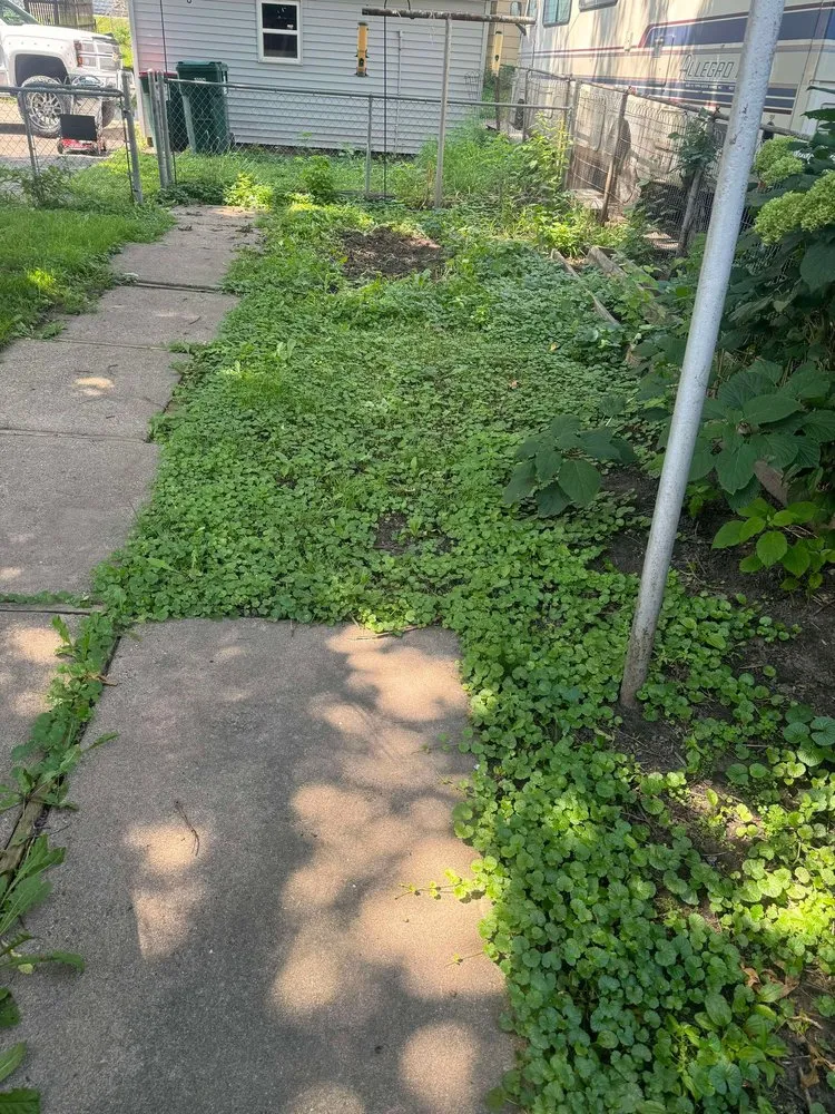 Expert residential landscaping experts serving New Brighton, MN - Paradise Lawn Care Services