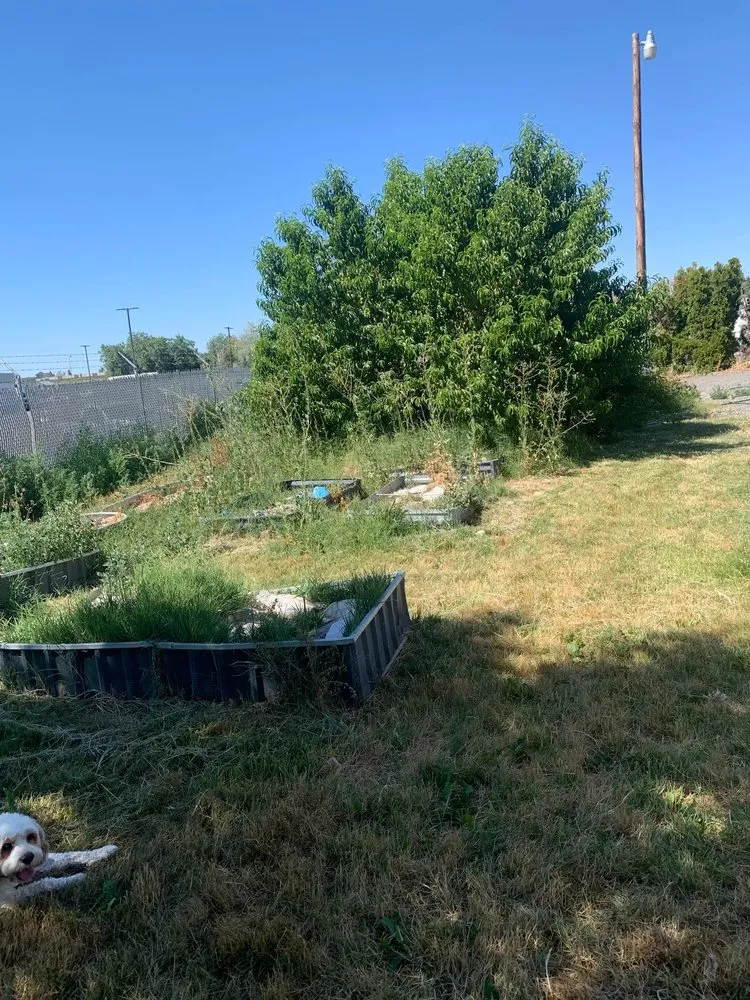 Professional landscape design experts serving Zillah, WA - Paradise Lawn Care