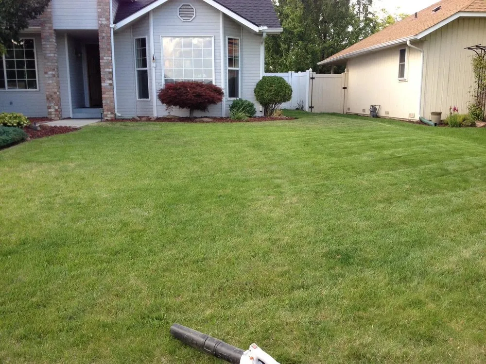 Local yard cleanup service experts serving Zillah, WA - Paradise Lawn Care