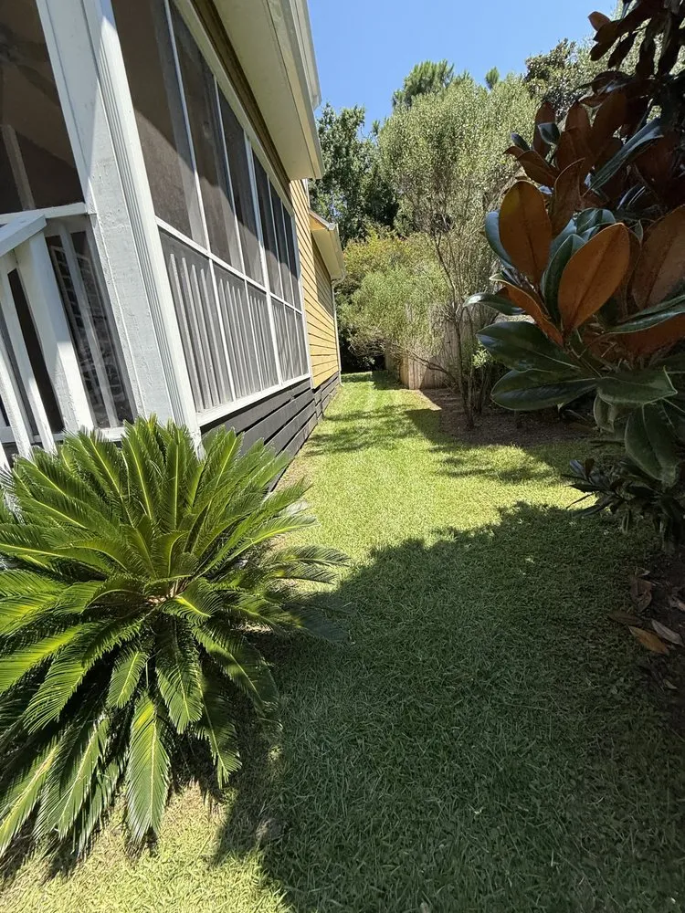 Expert residential landscaping experts serving Santa Rosa Beach, FL - Paradise Lawn Co