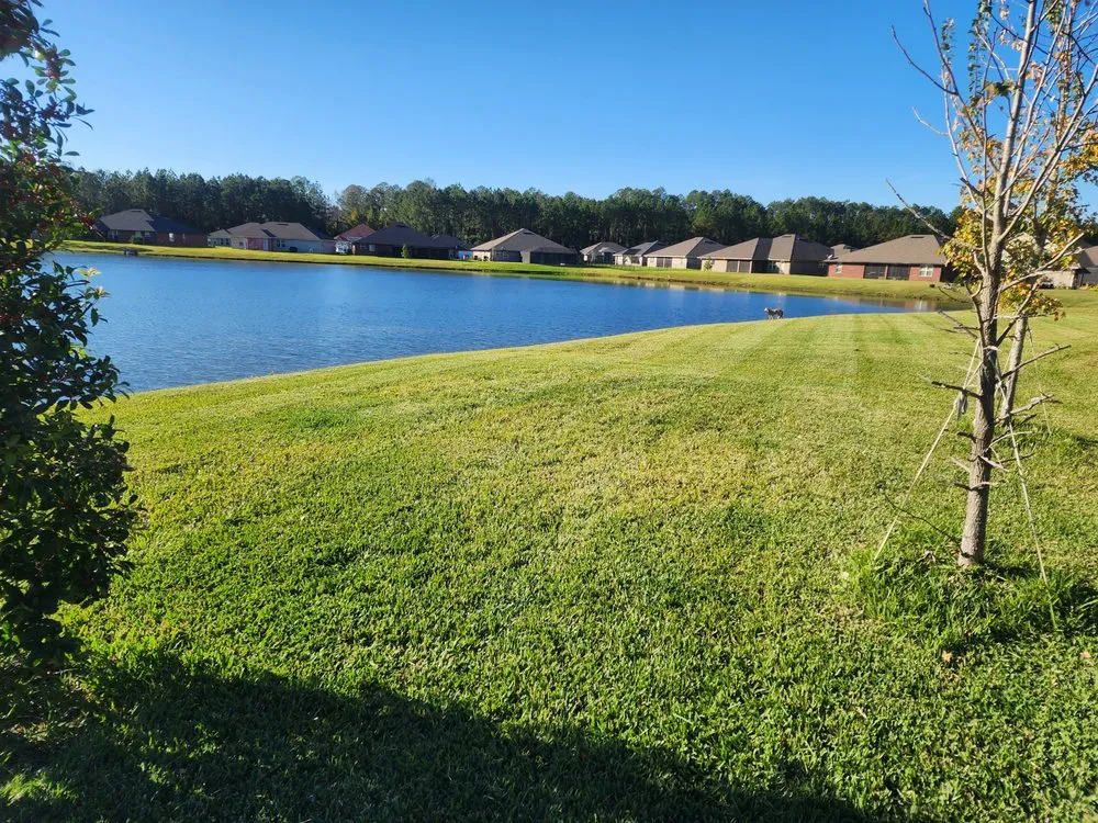 Affordable garden landscaping for outdoor upgrades in Orange Park, FL by Paradise Lawn