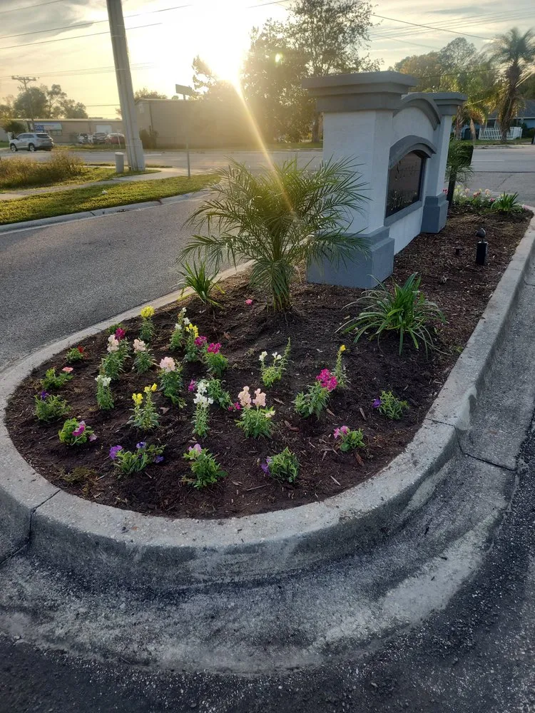 Trusted landscape installation experts serving Orange Park, FL - Paradise Lawn