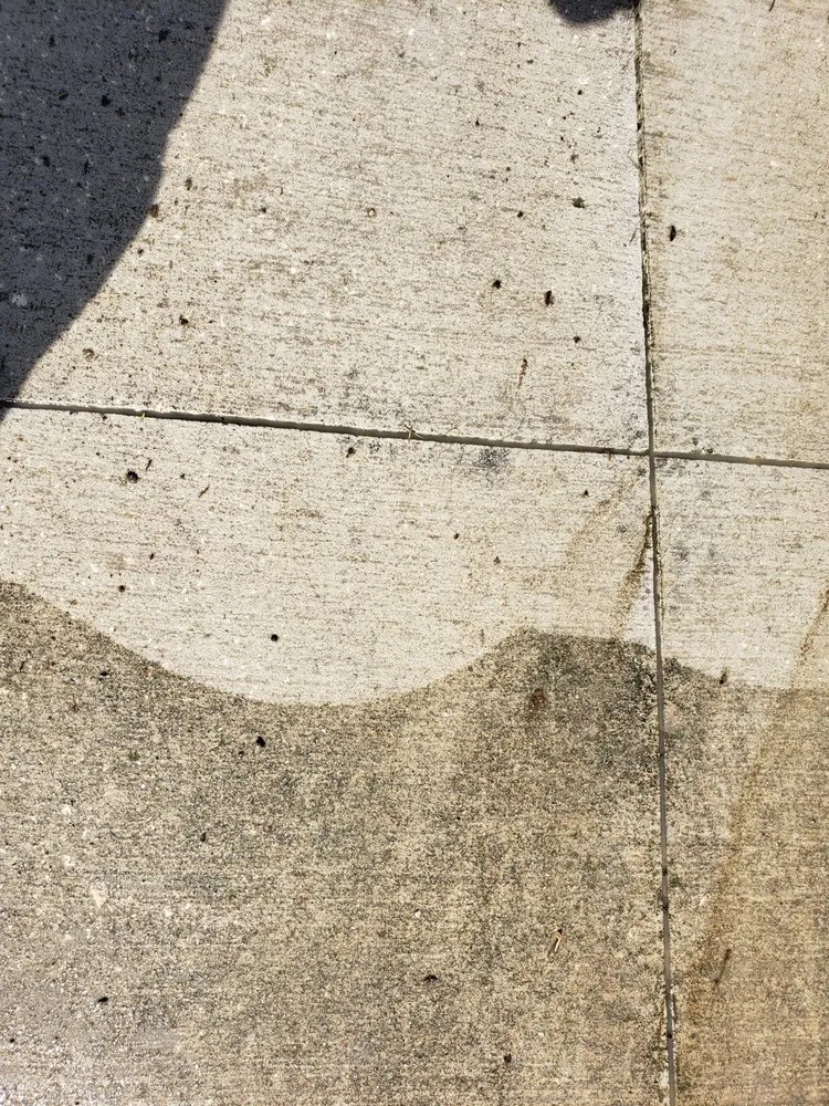 Affordable garden landscaping near you in Orange Park, FL by Paradise Lawn