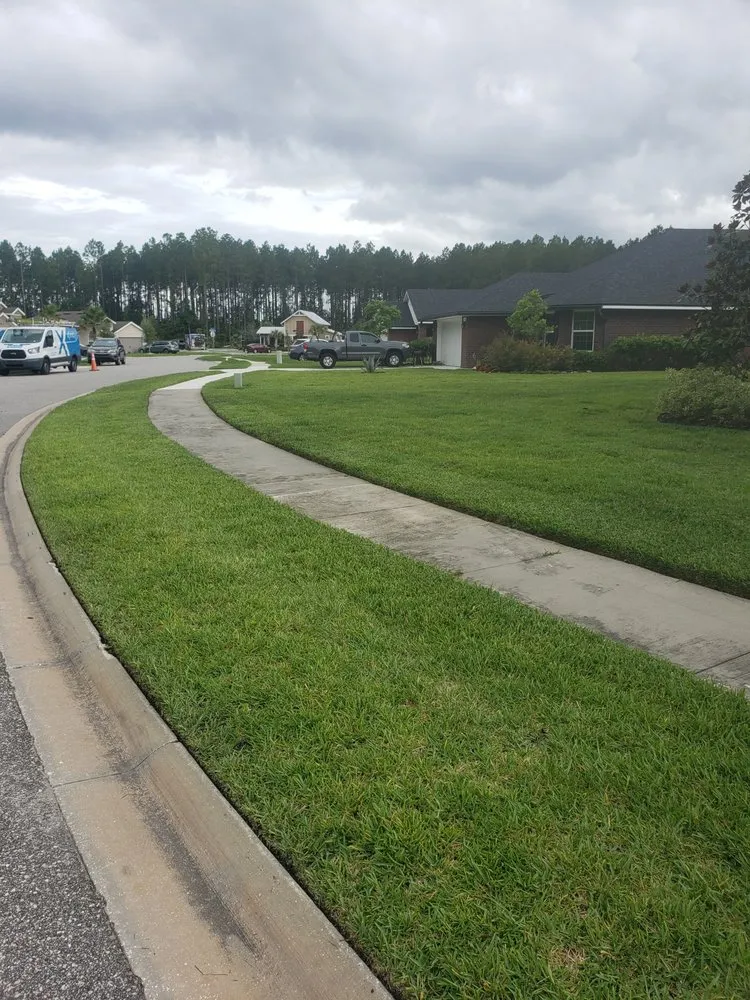 Reliable landscape installation experts serving Orange Park, FL - Paradise Lawn