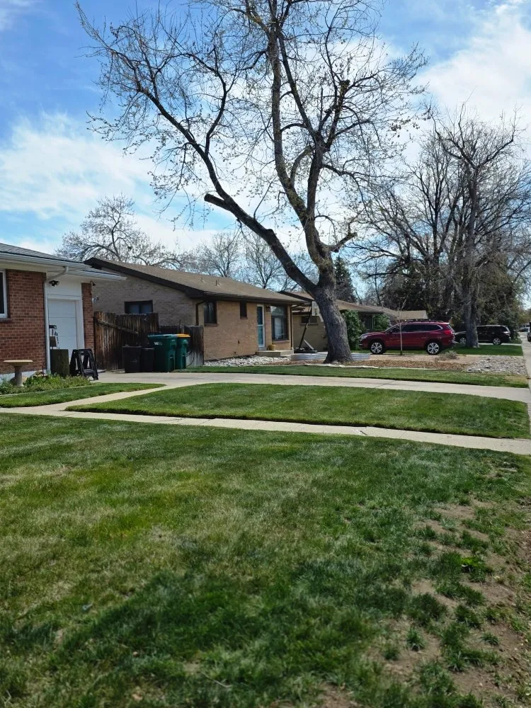 Professional outdoor landscaping experts serving Lakewood, CO - Paradise Lawn Services