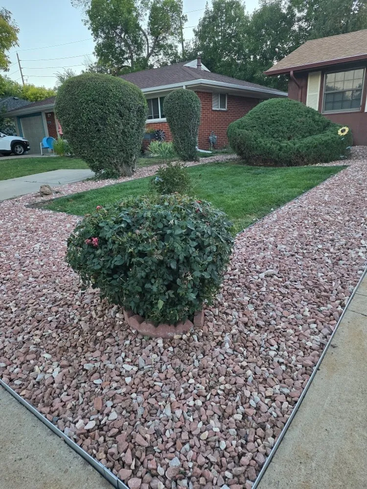 Trusted lawn care service experts serving Lakewood, CO - Paradise Lawn Services