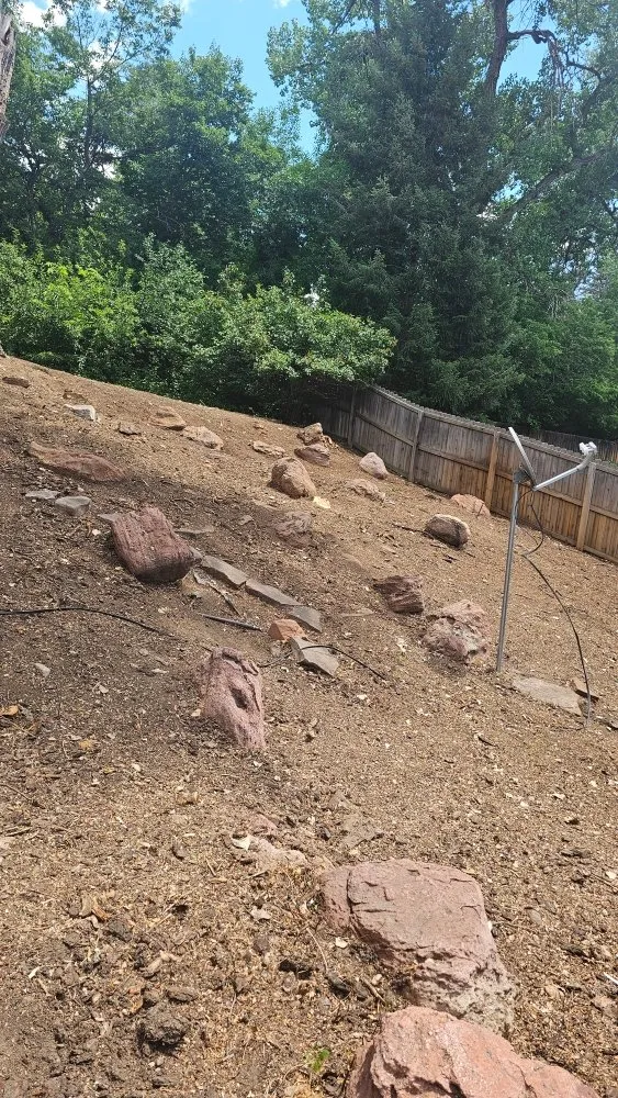 Expert yard cleanup service for outdoor upgrades in Lakewood, CO by Paradise Lawn Services