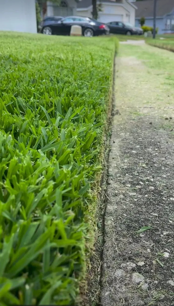 Expert residential landscaping for beautiful yards across Lakewood, CO - Paradise Lawn Services