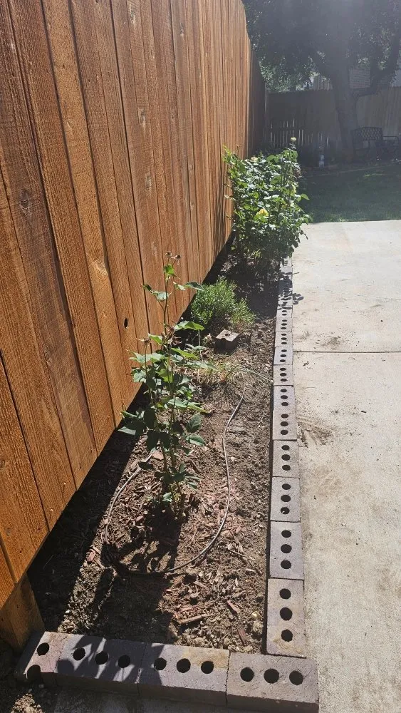 Professional landscaping services experts serving Lakewood, CO - Paradise Lawn Services