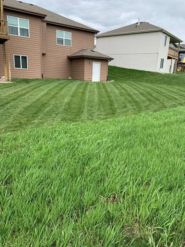 Reliable lawn care service experts serving Avon Park, FL - Paradise Lawns