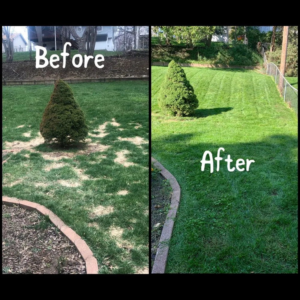 Custom landscape design for year-round maintenance in Avon Park, FL by Paradise Lawns