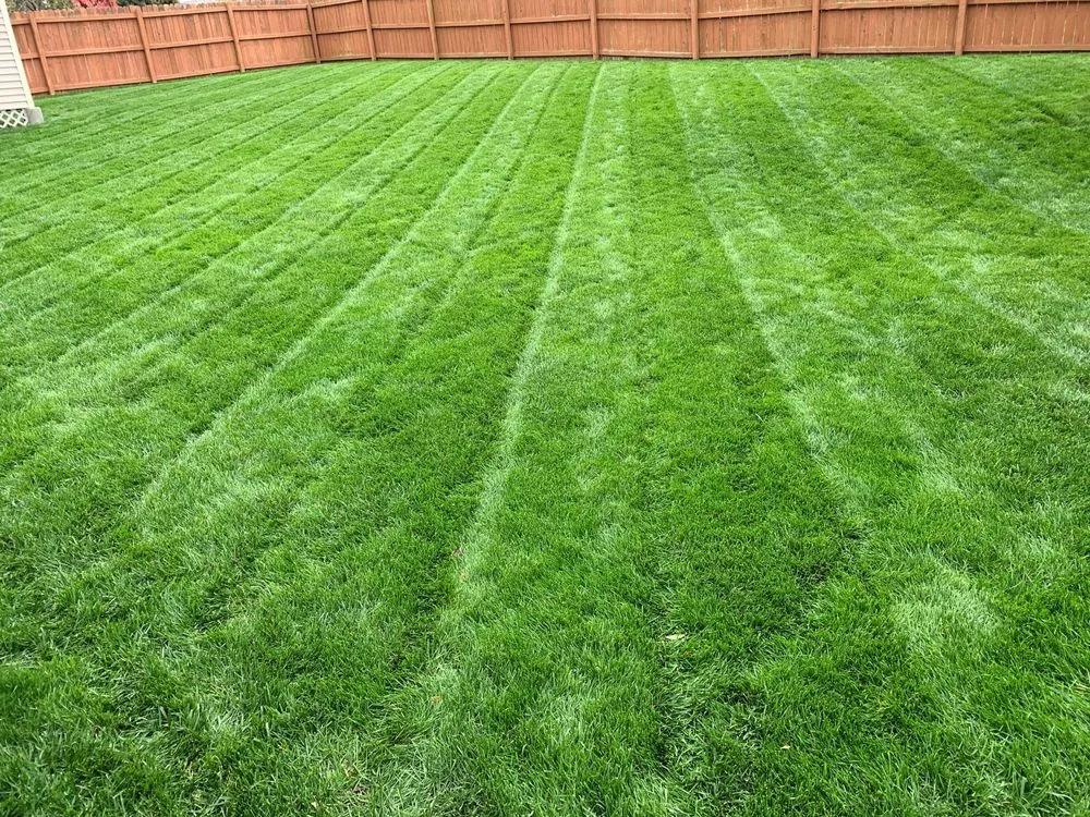 Affordable landscape design for year-round maintenance in Avon Park, FL by Paradise Lawns