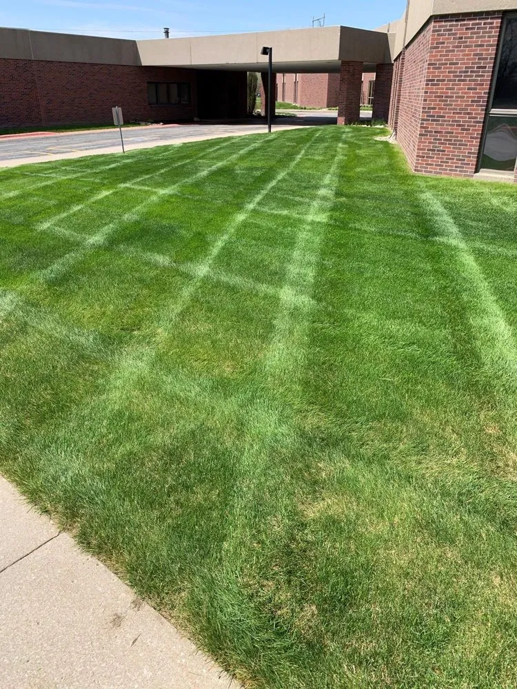 Affordable landscaping services in Avon Park, FL by Paradise Lawns