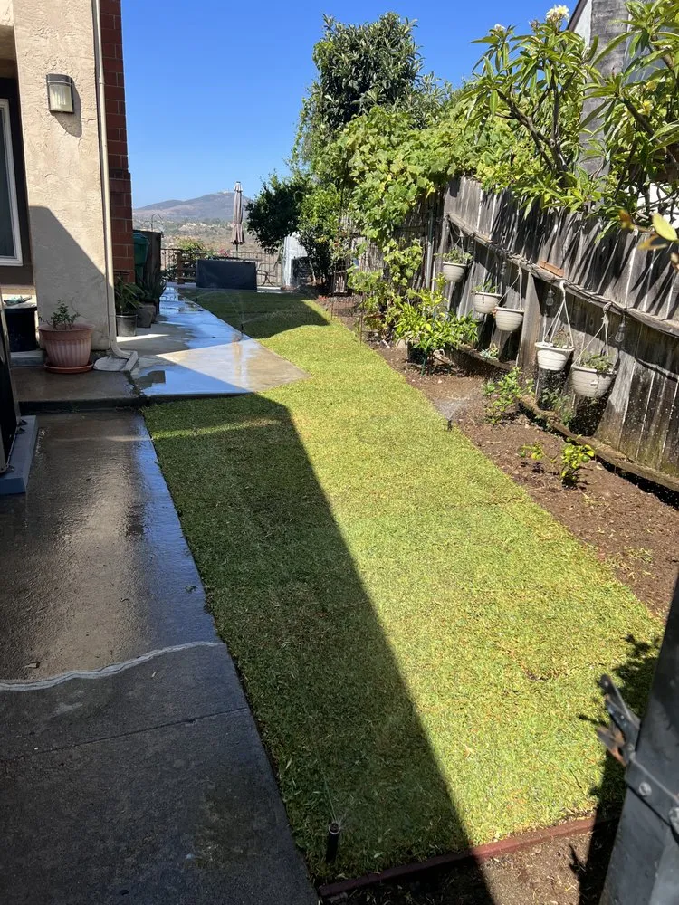 Top-rated yard maintenance in Fallbrook, CA by Paradise Lawns