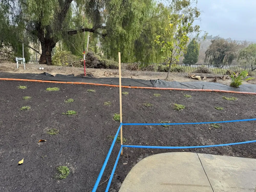 Professional lawn mowing service for outdoor upgrades in Fallbrook, CA by Paradise Lawns