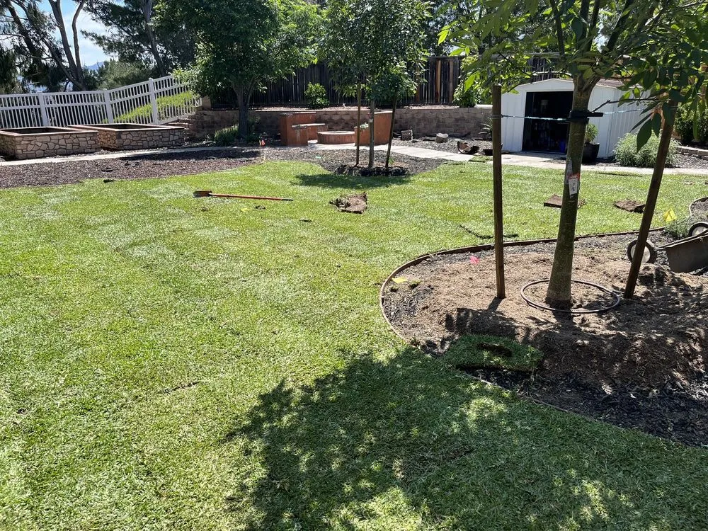 Trusted landscape installation in Fallbrook, CA by Paradise Lawns