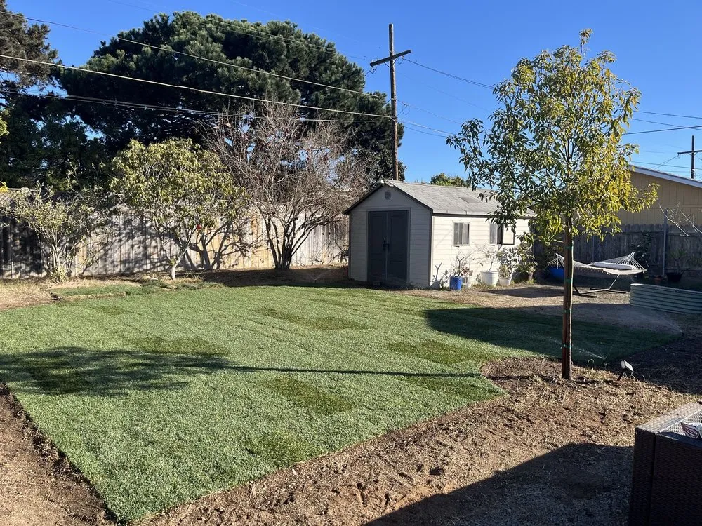 Reliable landscape design experts serving Fallbrook, CA - Paradise Lawns