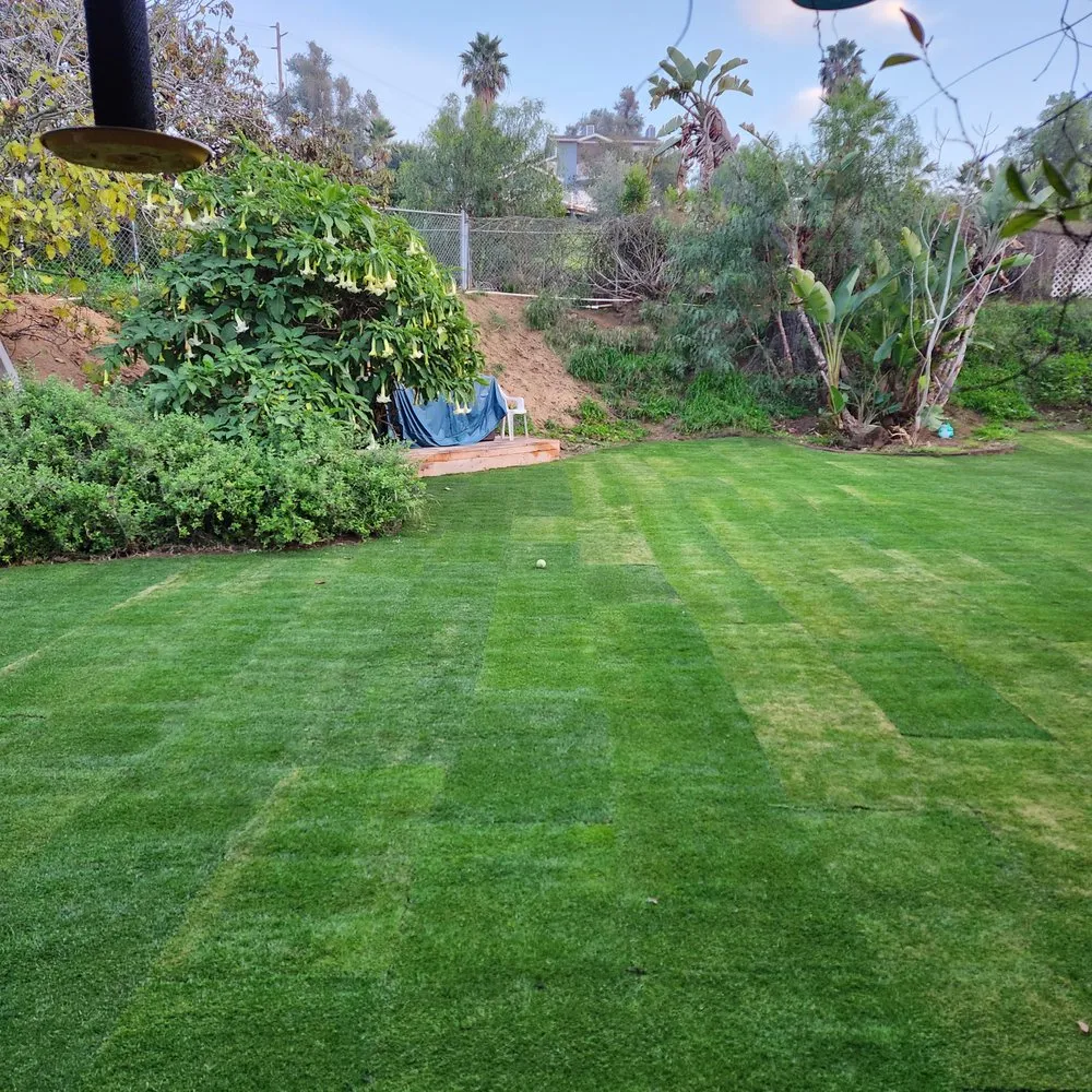 Custom lawn mowing service experts serving Fallbrook, CA - Paradise Lawns