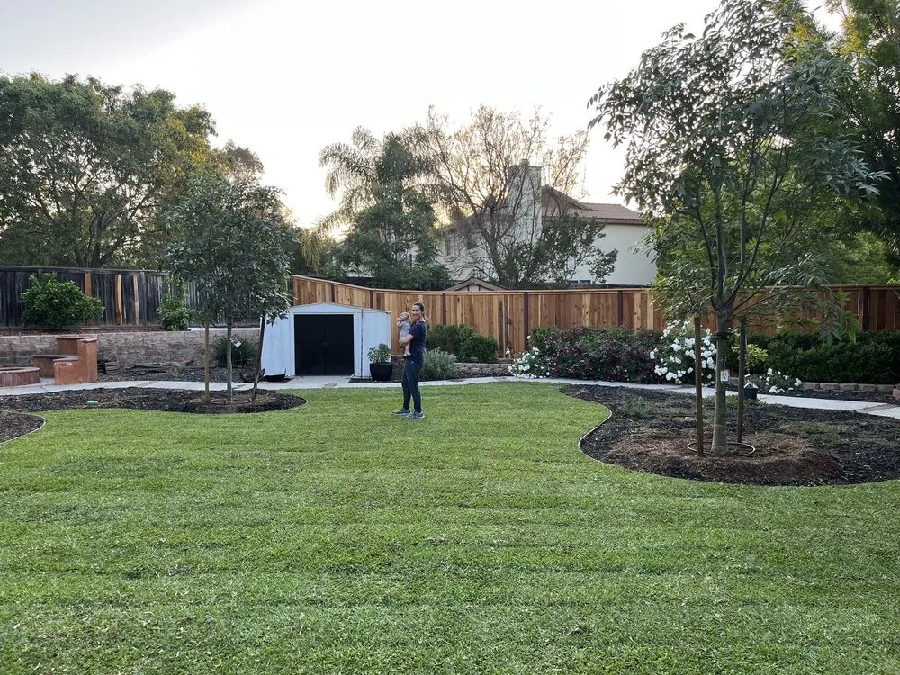 Trusted outdoor landscaping experts serving Fallbrook, CA - Paradise Lawns