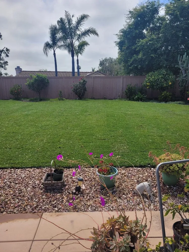 Top-rated landscaping services in Fallbrook, CA - Paradise Lawns