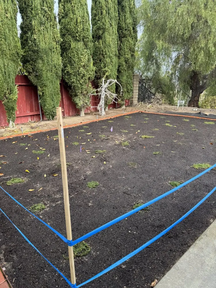 Expert lawn care service experts serving Fallbrook, CA - Paradise Lawns