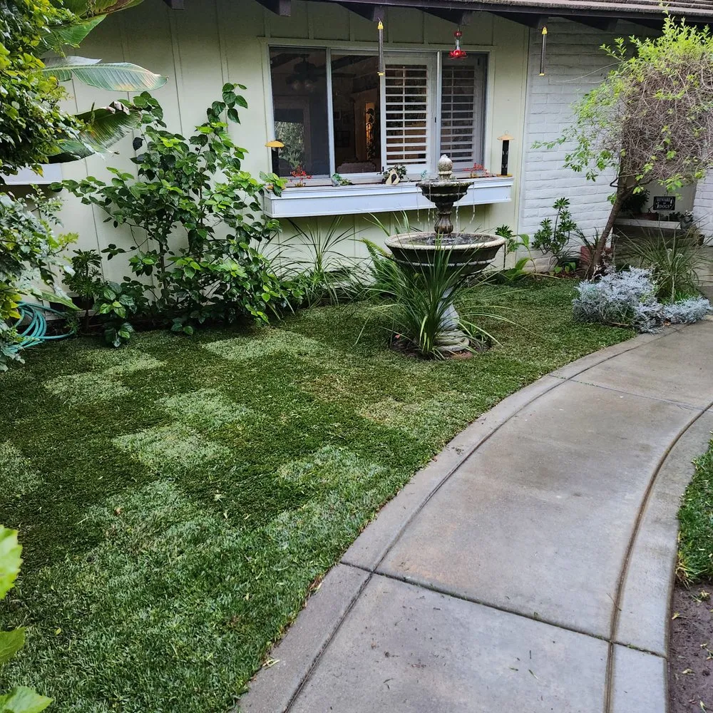 Affordable outdoor landscaping in Fallbrook, CA - Paradise Lawns