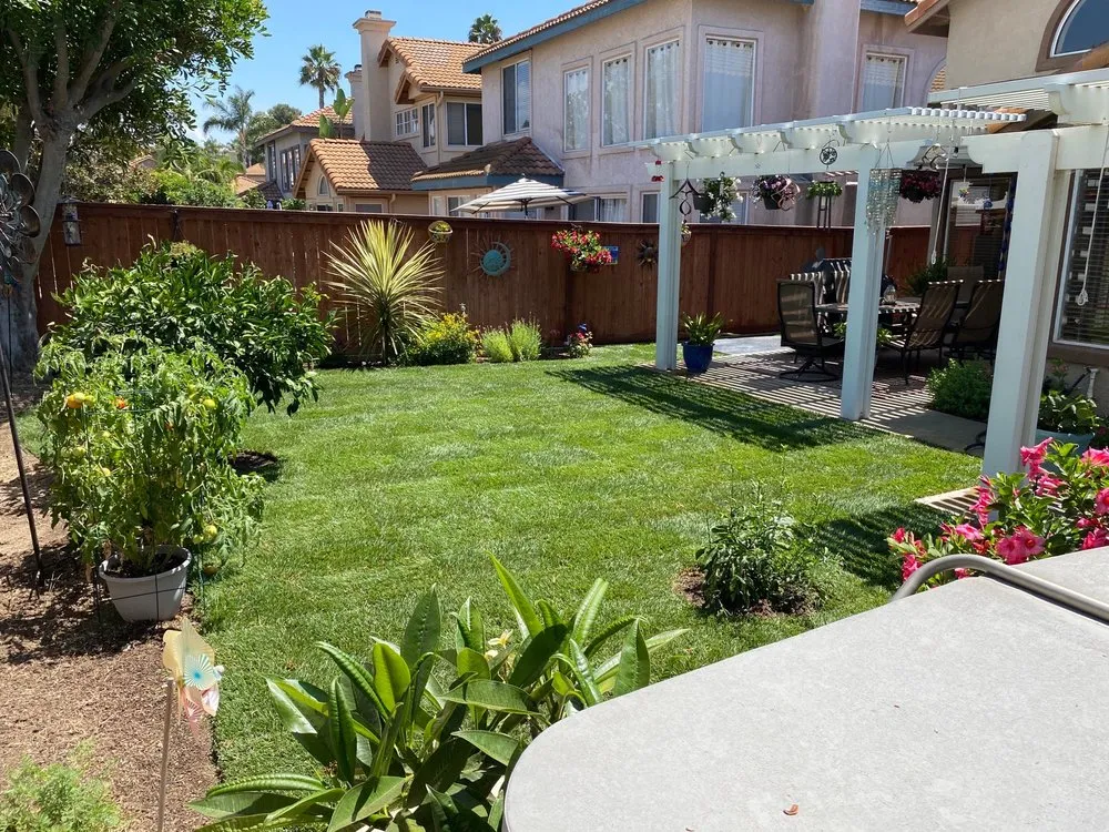 Expert lawn mowing service near you across Fallbrook, CA - Paradise Lawns