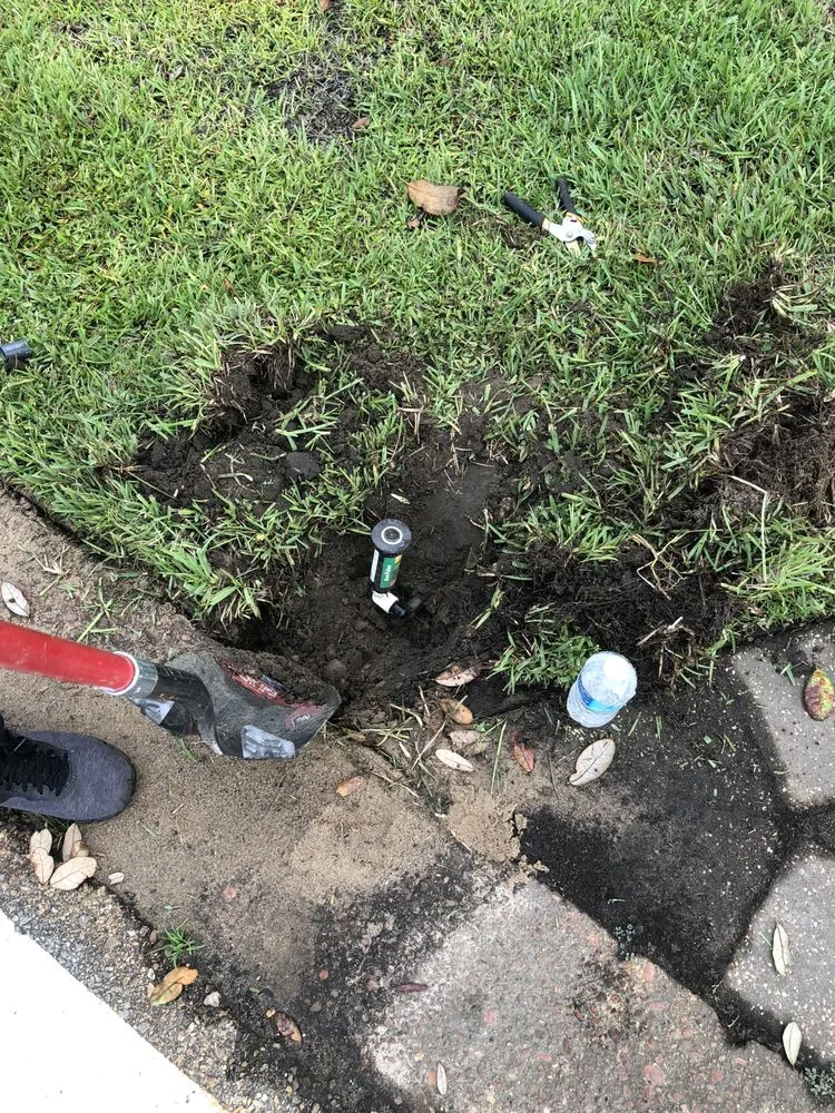 Professional yard maintenance in Fort Walton Beach, FL - Paradise Lawns