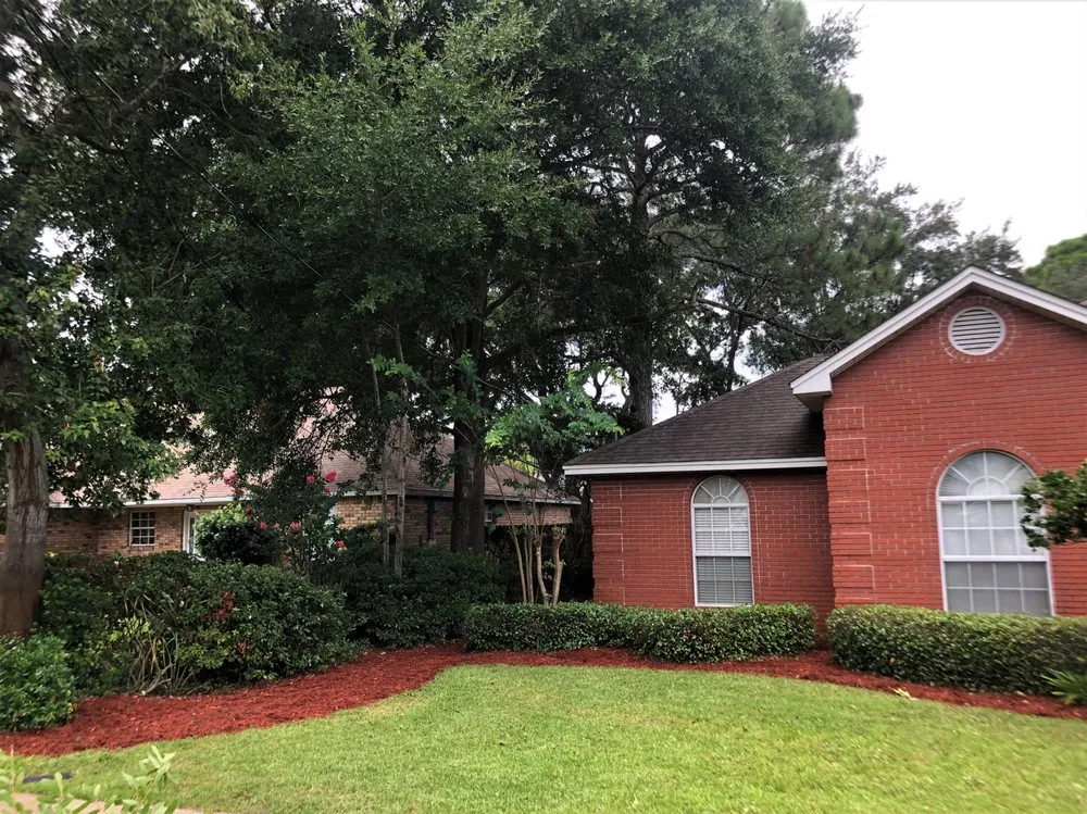 Reliable landscape installation for year-round maintenance in Fort Walton Beach, FL by Paradise Lawns