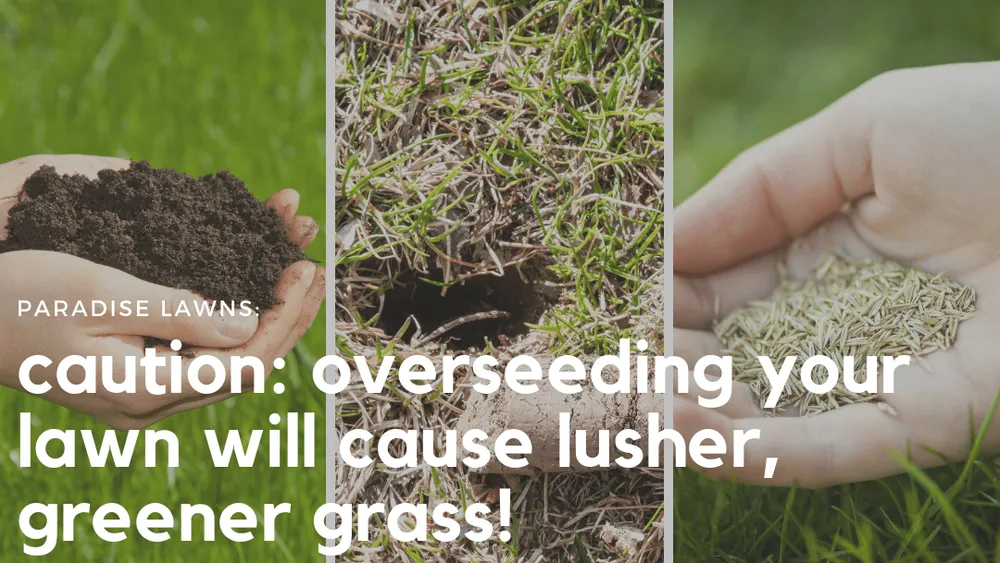 Expert outdoor landscaping experts serving Omaha, NE - Paradise Lawns