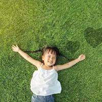 Top-rated residential landscaping near you in Omaha, NE by Paradise Lawns