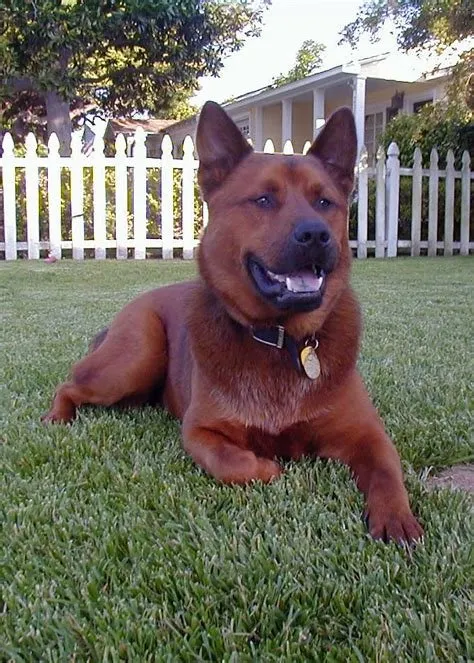 Expert landscape design experts serving Omaha, NE - Paradise Lawns