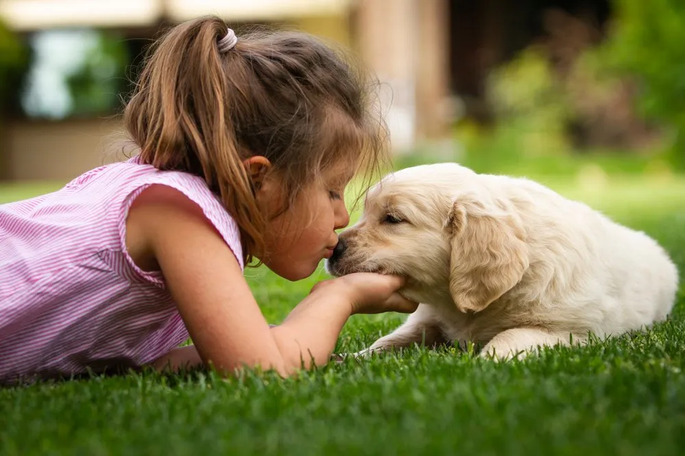 Local landscape installation experts serving Omaha, NE - Paradise Lawns