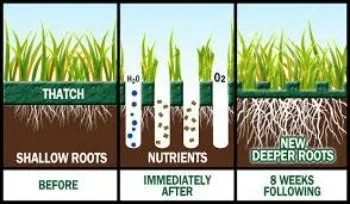 Local landscape installation for residential properties across Omaha, NE - Paradise Lawns