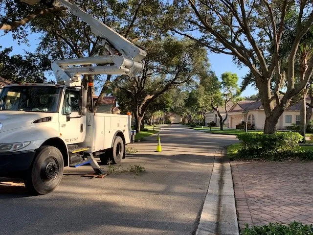 Reliable landscaping services with custom design in Fort Lauderdale, FL by Paradise Look