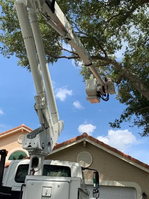 Professional yard cleanup service for year-round maintenance across Fort Lauderdale, FL - Paradise Look